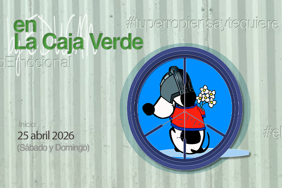 El PacificaDOG, acaba con las peleas en casa